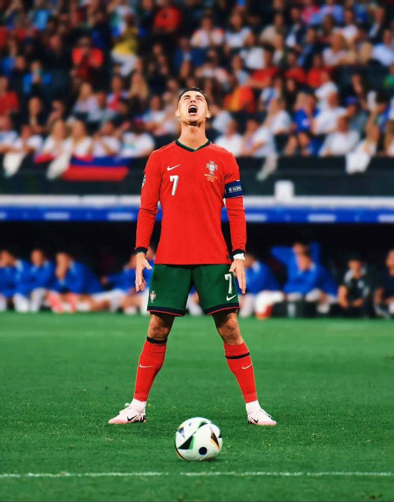 国际公开赛 国际公开赛